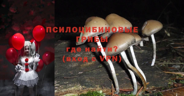 спиды Алексеевка