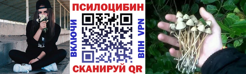 Галлюциногенные грибы прущие грибы купить Барнаул